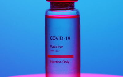 Antibodies and the Immune System