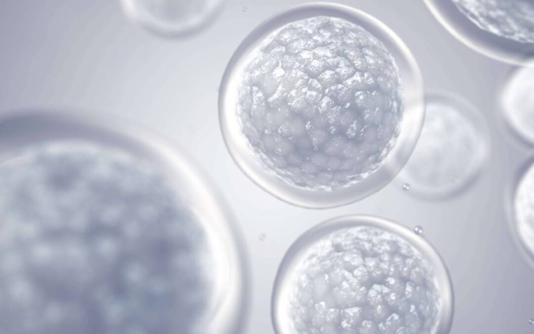 Regenerative Medicine Explained