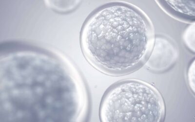 Regenerative Medicine Explained