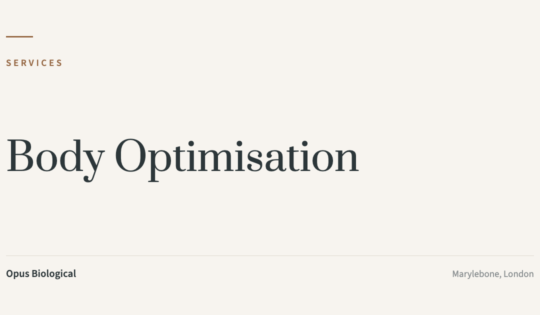 Body Optimisation