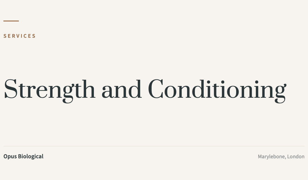 Strength and Conditioning