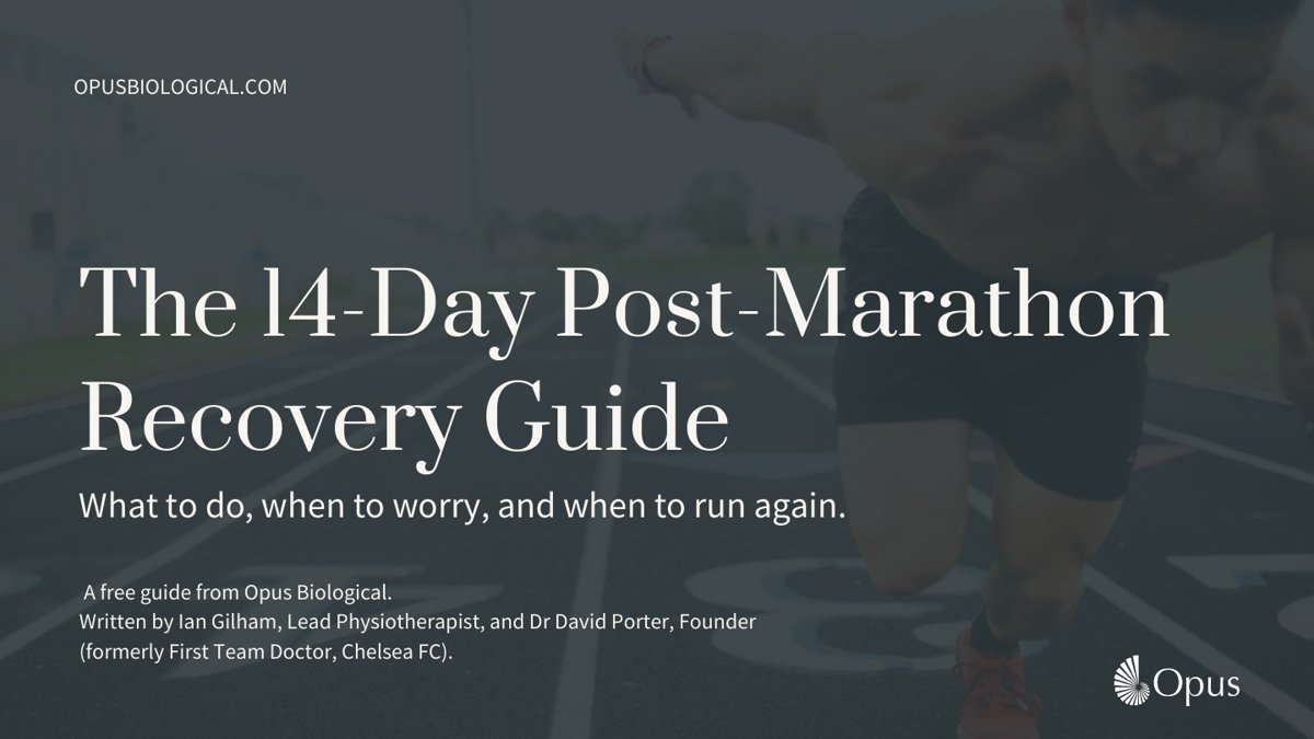 Front cover of the The 14-Day Post-Marathon Recovery Guide guide